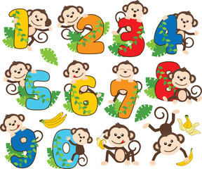 Monkey Numbers, boy
