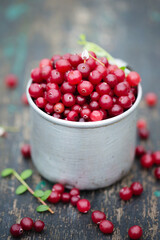 cranberry in vintage metal cup on dark background