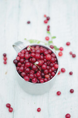 cranberry in vintage metal cup on light background