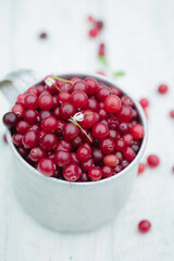 cranberry in vintage metal cup on light background
