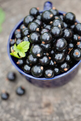 Ripe black currants in a large ceramic mug