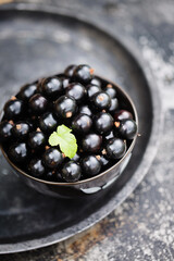 Ripe black currants in a bowl