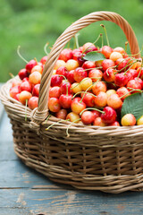 A full basket of cherries