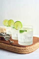 Glass of gin and tonic with mint, lime wedges and ice