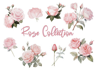 Set of floral clipart illustration. Flower generative watercolor pink rose floral arrangement wedding concept for poster, invitation. Flower arrangements for journal, planner, card design.