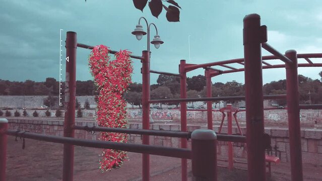 Street Workout Calisthenics Furry Athletes Slow Motion with Green Matte Ending