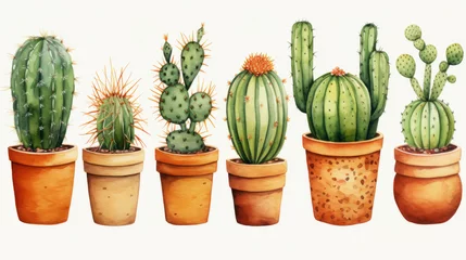 Fotobehang Cactus in pot Watercolor illustration of Cacti in Terracotta Pots isolated on white background