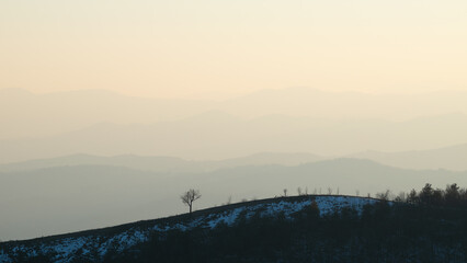 Fototapeta na wymiar Lonely tree on hill against mountain layers fading in haze, view from mountain Ljubic near Prnjavor