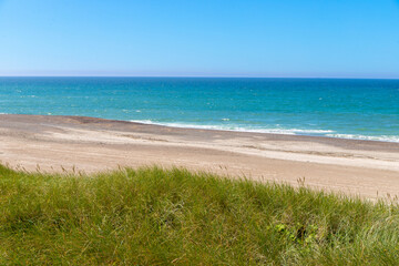 Fototapeta na wymiar overgrown dunes on the beach in Denmark with sea in the background