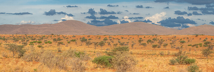 Kalahari Views