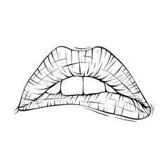 mouth, lips sketch vector illustration line art