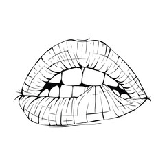 mouth, lips sketch vector illustration line art