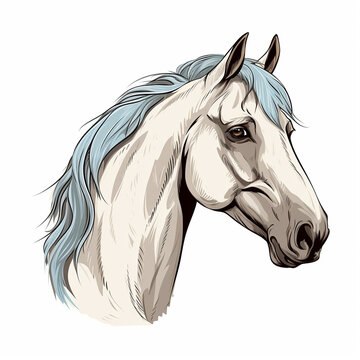 horse head with blue mane illustration isolated on white