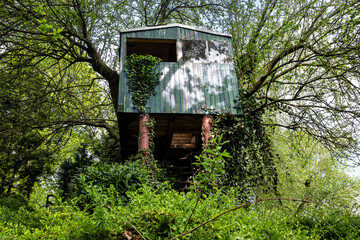 tree house in the woods