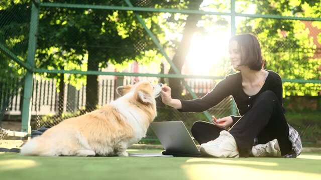 Smiling girl with cute corgi dog preparing for exam and studying at sunny park Pretty student spending time with pet and working on laptop computer outdoors Distance remote education with animal