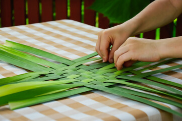 The child weaves cattail leaves. Close-up. DIY children with their own hands. Development of fine motor skills. An idea for children's creativity