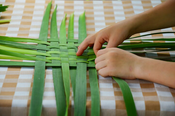 The child weaves cattail leaves. Close-up. DIY children with their own hands. Development of fine motor skills. An idea for children's creativity