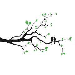 bird on branch vector art illustration design