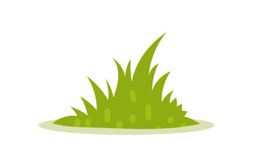 Thick lush green garden grass bush