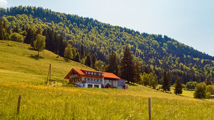 Alpine summer view near Steibis, Oberstaufen, Oberallgaeu, Bavaria, Germany