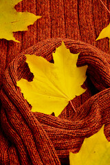Yellow maple leaves on the background of a brown knitted sweater. Cozy autumn. Autumn background. Leaf fall.