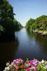 A picture clicked in Amsterdam