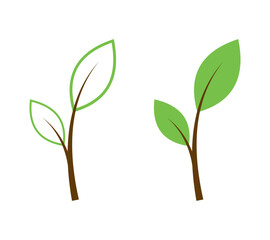 Green Natural Plant Leaf Vector Design