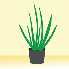Plant vector, clip art, and symbol. Flat design of  plant concept and simple design