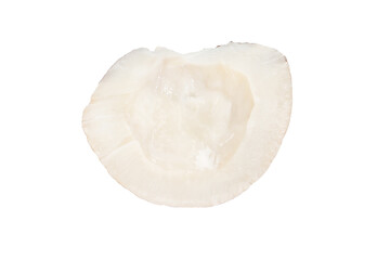 Piece, part of a coconut without the shell on a white background.