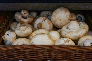 マッシュルーム、mushroom、Paris、パリ