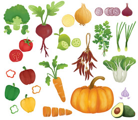 set of vegetables, avocado, bell pepper, Big Bok Choy, broccoli, carrot, chilli, garblic, lime, onion, parsley, pumpkin, Spring Onion