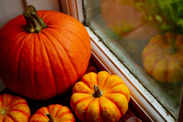 Orange pumpkins on the windowsill. Warm and cozy autumn at home. Huge. Autumn palette of colors. Comfort and relaxation, calm. Autumn mood