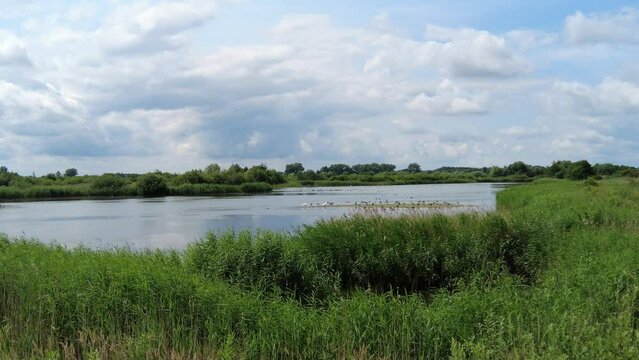 Die Elbe bei Lauenburg
