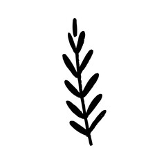 Obraz premium Hand drawn floral elements,Vector branches and leaves,Vintage botanical illustrations,Tiny plantsand flowers