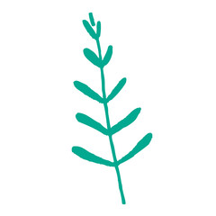 Hand drawn floral elements,Vector branches and leaves,Vintage botanical illustrations,Tiny plantsand flowers