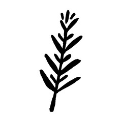 Obraz premium Hand drawn floral elements,Vector branches and leaves,Vintage botanical illustrations,Tiny plantsand flowers