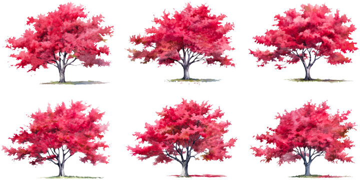 Set of watercolor pink tree isolated on white background. PNG transparent background. AI Generative.