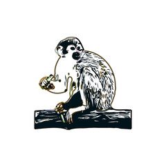 monkey color sketch with transparent background