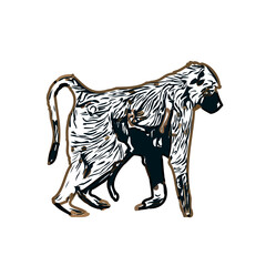 monkey color sketch with transparent background