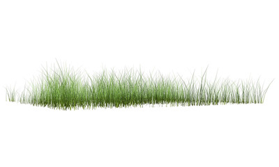 green grass on transparent background. 3d rendering
