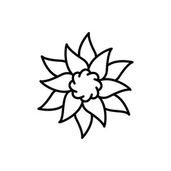 Flower line icon vector design