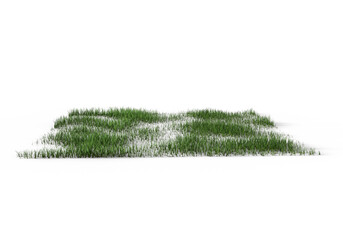 grass patch isolated on transparent background
