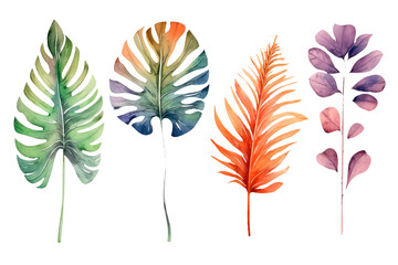 set watercolor autumn monstera on a white background.