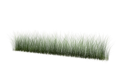 green grass isolated on transparent background. 3d rendering