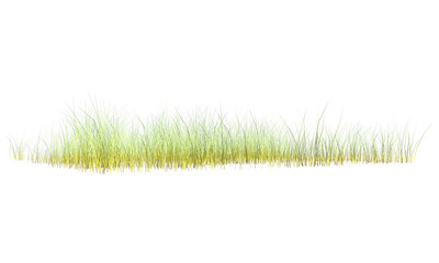 Realistic winter grass,  3d rendering 