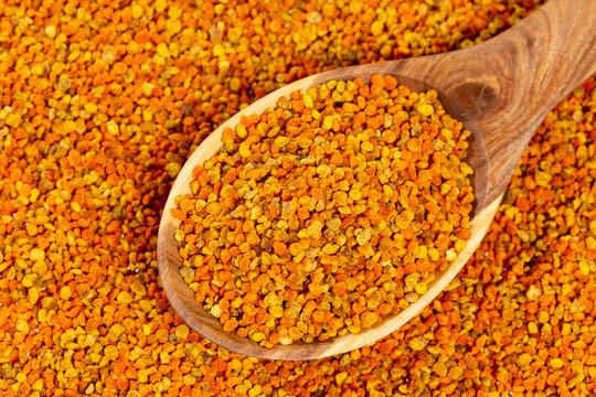 Bee Pollen Grains Natural And Healthy Super Food