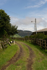 landscape with a fence