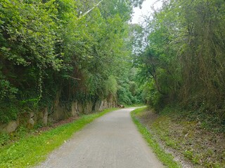 Antiguo camino de tren