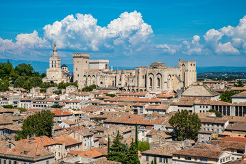 Landscape of the town of Avignon - obrazy, fototapety, plakaty