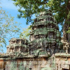 Fototapeta premium Image depicts a destroyed medieval Khmer building in Cambodia, visible amongst overgrown vegetation.